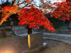 東漸寺(千葉県)