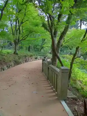 柳谷観音　楊谷寺(京都府)