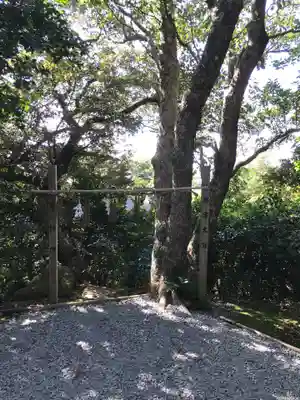 粟嶋神社の末社・摂社