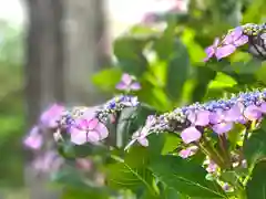 木留神社の自然