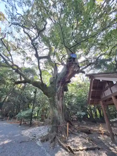 月夜見宮（豊受大神宮別宮）の{uncategorized: "未分類", other: "その他", undefined: "問題あり", building: "その他建物", grave: "お墓", sacred_gate: "鳥居", guardian: "狛犬", statue: "像", buddha: "仏像", history: "歴史", nature: "自然", garden: "庭園", animal: "動物", pagoda: "塔", temizu: "手水舎", mountain_gate: "山門・神門", sanctuary: "本殿・本堂", subordinate: "末社・摂社", art: "芸術", scenery: "景色", jizo: "地蔵", ema: "絵馬", goshuin: "御朱印", omikuji: "おみくじ", items: "授与品その他", amulet: "お守り", goshuincho: "御朱印帳", eats: "食事", festival: "お祭り", votive_dance: "神楽", shichigosan: "七五三参", wedding: "結婚式", experience: "体験その他", initially: "初詣", around: "周辺", anti_infection: "感染症対策"}