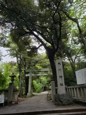 赤坂氷川神社の鳥居