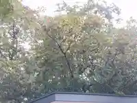 冠稲荷神社(群馬県)