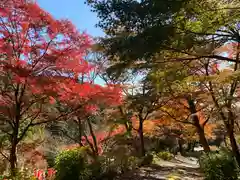 普門寺(切り絵御朱印発祥の寺)の自然