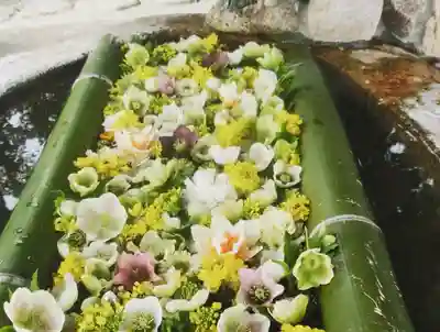 立志神社の手水舎