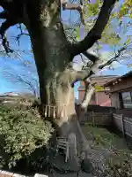 山の神(三重県)