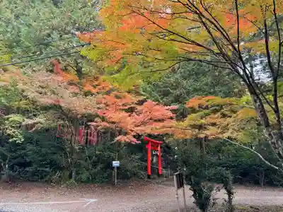 大矢田神社(岐阜県)