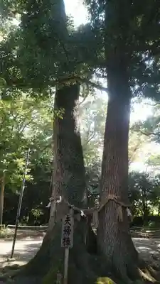 男神社の自然