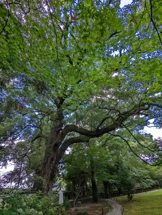 青蓮院門跡(京都府)