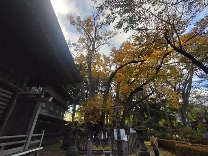 小室浅間神社のその他建物