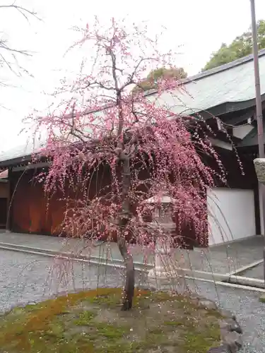 城南宮(京都府)