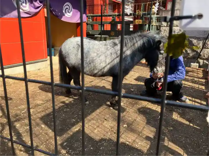 神田神社(神田明神)の動物