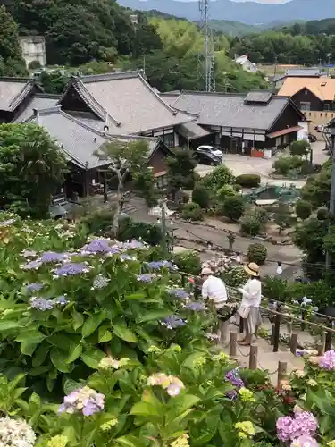 補陀寺の御朱印