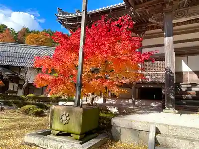 東光寺(滋賀県)