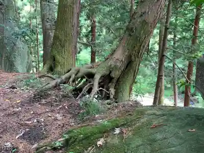 蟇目鹿島神社(福島県)