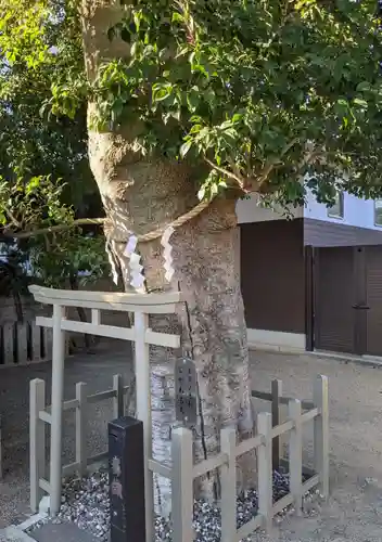 田島神社(大阪府)