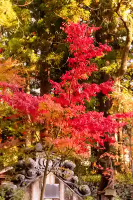 山家神社(長野県)