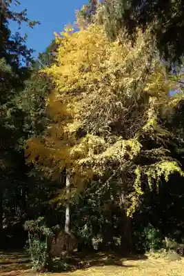 修禅寺　奥の院(静岡県)