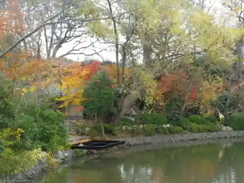 鶴岡八幡宮の庭園