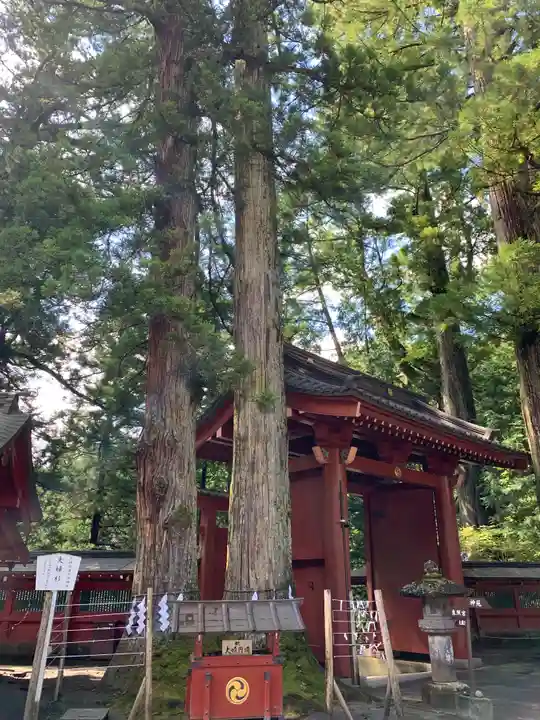 日光二荒山神社の山門・神門