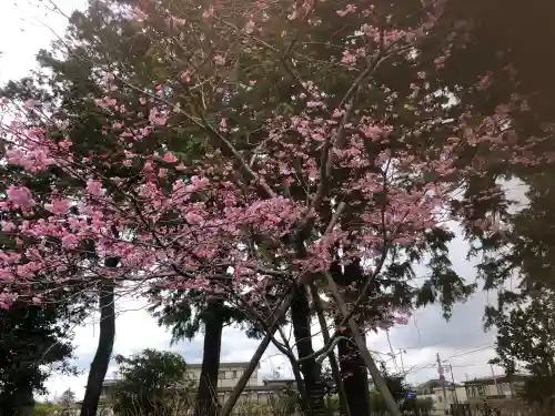山神社(宮城県)