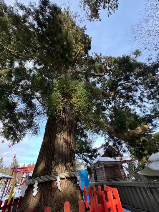 志和古稲荷神社(岩手県)
