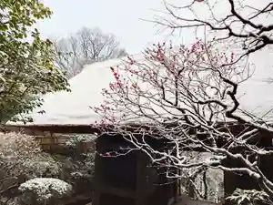 杉本寺(神奈川県)(2026年02月08日(日) 09時06分17秒投稿)
