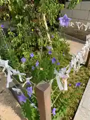 北野天満神社のおみくじ