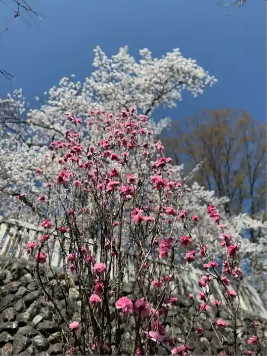 成田山名古屋別院大聖寺(犬山成田山)(愛知県)