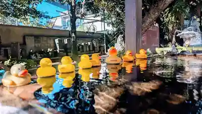 柏諏訪神社の手水舎