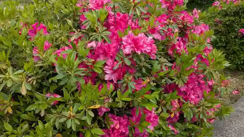鉾立神社の自然