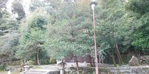 月読神社（松尾大社摂社）の自然