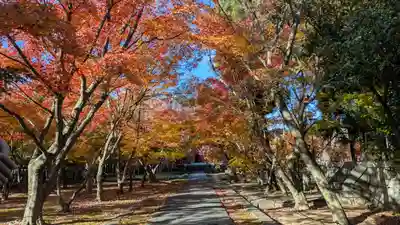 興聖寺(京都府)