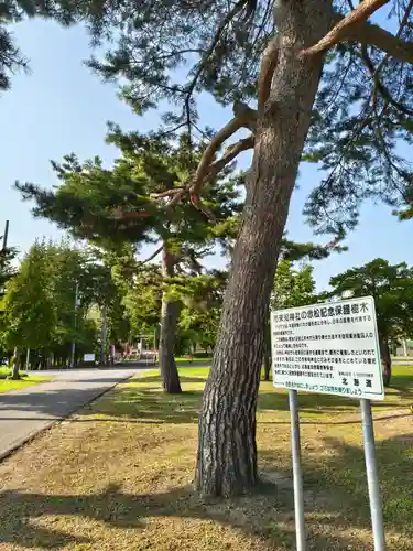 市来知神社(北海道)