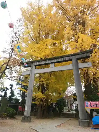 葛西神社の{uncategorized: "未分類", other: "その他", undefined: "問題あり", building: "その他建物", grave: "お墓", sacred_gate: "鳥居", guardian: "狛犬", statue: "像", buddha: "仏像", history: "歴史", nature: "自然", garden: "庭園", animal: "動物", pagoda: "塔", temizu: "手水舎", mountain_gate: "山門・神門", sanctuary: "本殿・本堂", subordinate: "末社・摂社", art: "芸術", scenery: "景色", jizo: "地蔵", ema: "絵馬", goshuin: "御朱印", omikuji: "おみくじ", items: "授与品その他", amulet: "お守り", goshuincho: "御朱印帳", eats: "食事", festival: "お祭り", votive_dance: "神楽", shichigosan: "七五三参", wedding: "結婚式", experience: "体験その他", initially: "初詣", around: "周辺", anti_infection: "感染症対策"}