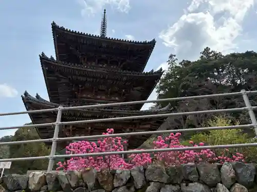 南法華寺（壷阪寺）(奈良県)