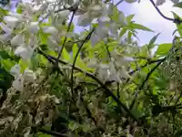 旗上弁財天社の自然