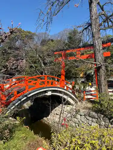 賀茂御祖神社（下鴨神社）の{uncategorized: "未分類", other: "その他", undefined: "問題あり", building: "その他建物", grave: "お墓", sacred_gate: "鳥居", guardian: "狛犬", statue: "像", buddha: "仏像", history: "歴史", nature: "自然", garden: "庭園", animal: "動物", pagoda: "塔", temizu: "手水舎", mountain_gate: "山門・神門", sanctuary: "本殿・本堂", subordinate: "末社・摂社", art: "芸術", scenery: "景色", jizo: "地蔵", ema: "絵馬", goshuin: "御朱印", omikuji: "おみくじ", items: "授与品その他", amulet: "お守り", goshuincho: "御朱印帳", eats: "食事", festival: "お祭り", votive_dance: "神楽", shichigosan: "七五三参", wedding: "結婚式", experience: "体験その他", initially: "初詣", around: "周辺", anti_infection: "感染症対策"}