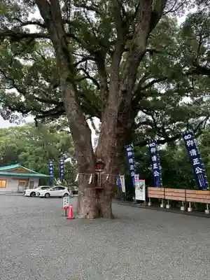 加藤神社(熊本県)