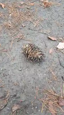 芽生神社の自然