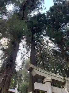 大宮温泉神社(栃木県)(2023年02月22日(水) 10時29分03秒投稿)