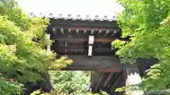 光明寺（粟生光明寺）の山門