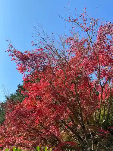 瀧光徳寺(佐賀県)