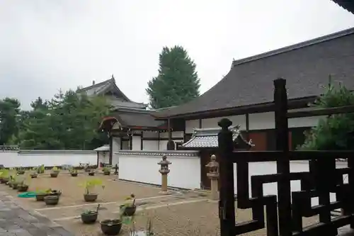 萬福寺の庭園