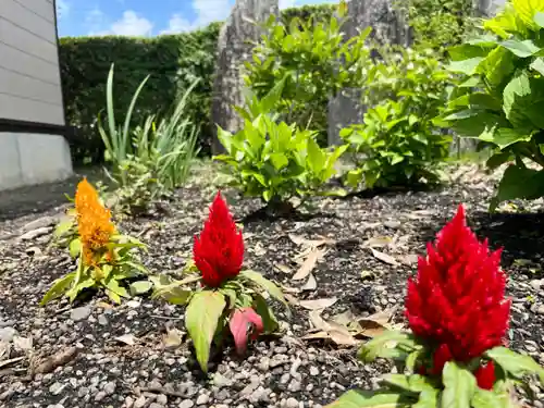 鹿島台神社(宮城県)