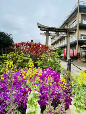 六孫王神社(京都府)