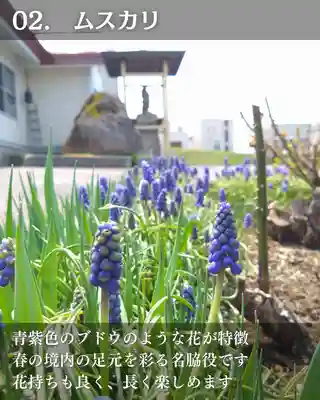 宝光寺(北海道)