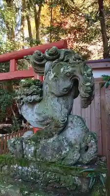 廣坂稲荷神社の狛犬