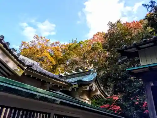 天王神社の本殿