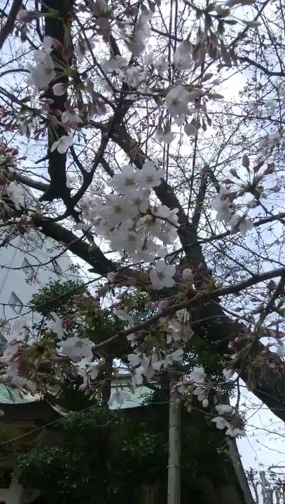 猿江神社の自然